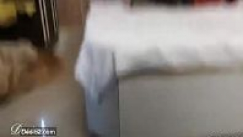 หนังโป๊มาแรงฟรี INDIAN XXX หนุ่มอินเดียหลอกเย็ดหีเมียชาวบ้าน รีบๆเย็ดเดี๋ยวผัวเขามา เอาควันดำๆยัดปาก ก่อนจะร่อนเอวกระเด้าหี - heovl.dog